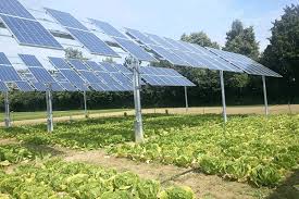 farm with solar energy